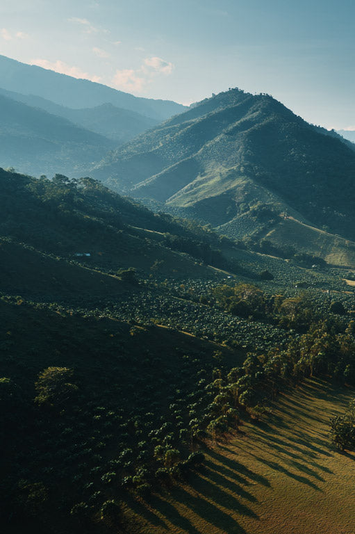 Image slide