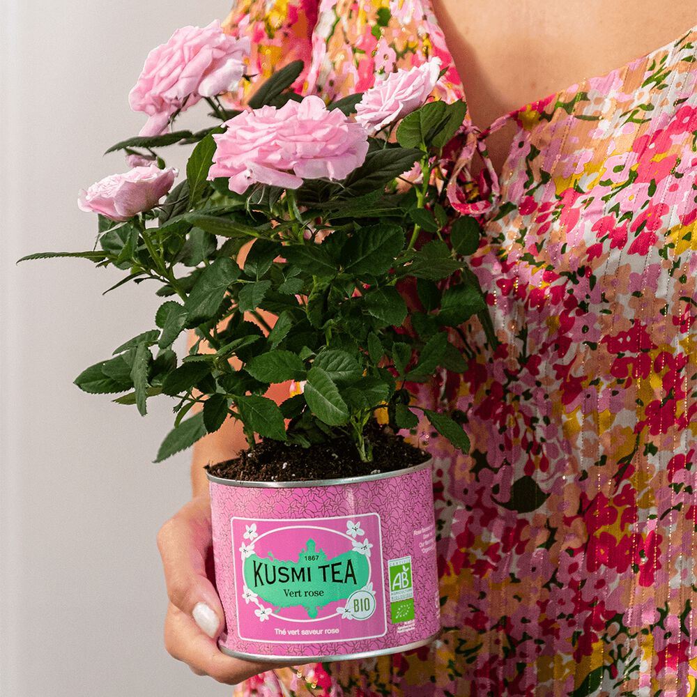 Green Rose Bio